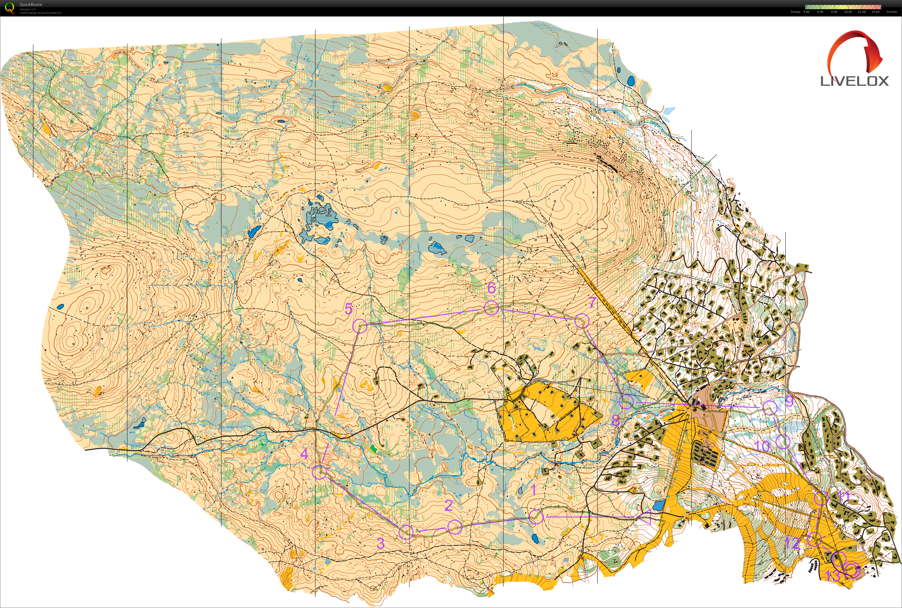 O-festivalen 2025 (22.06.2025)